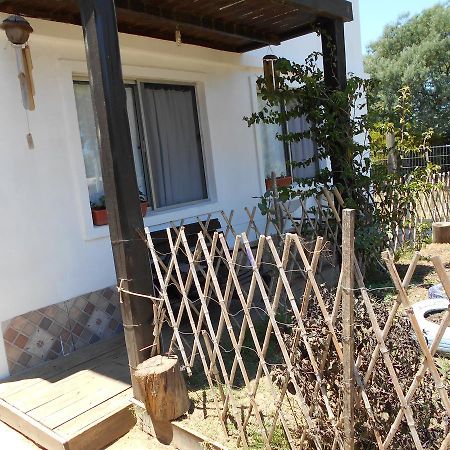 Mi Capricho Villa Barra de Maldonado Eksteriør billede